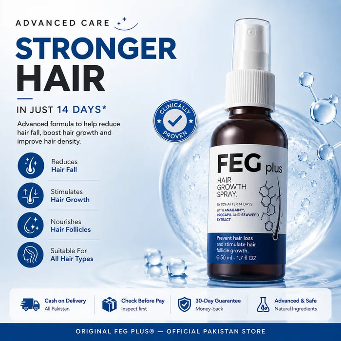 FEG Pakistan (Private) Limited